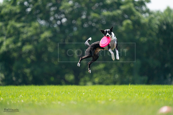 RielVisuals_20240727_130738_SJR06916