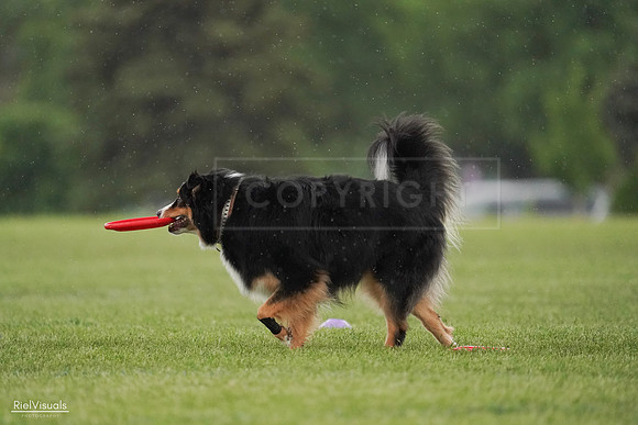 RielVisuals_20240526_094601_SJR00966
