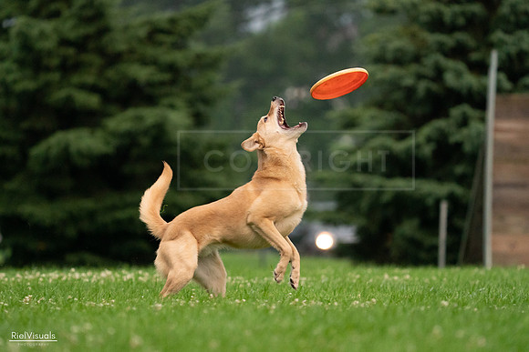 RielVisuals_20240722_191559_SJR00341