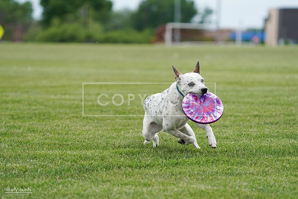 RielVisuals_20240525_160332_SJR03352