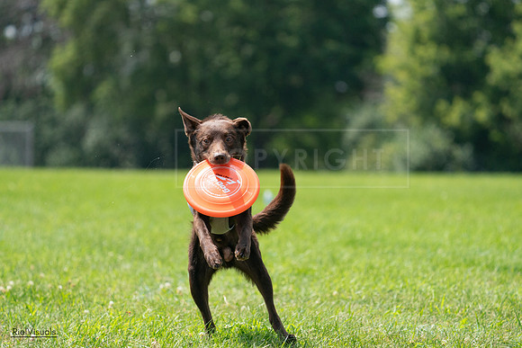 RielVisuals_20240728_130900_SJR05217