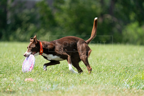 RielVisuals_20240728_144916_SJR09255