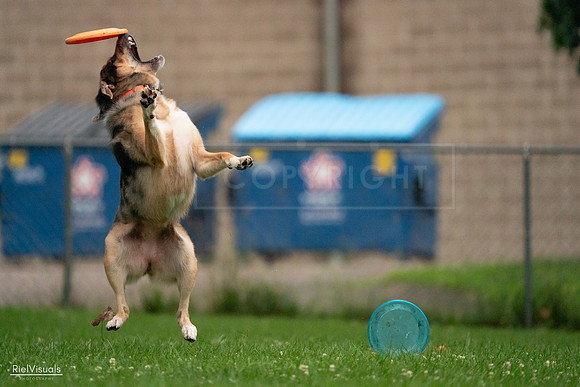 RielVisuals_20240722_192224_SJR00731