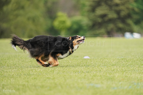 RielVisuals_20240527_133246_SJR00198