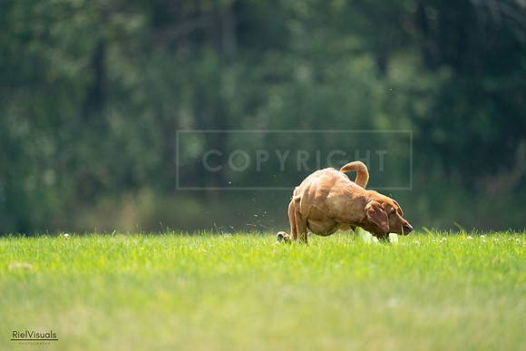 RielVisuals_20240727_122359_SJR05436