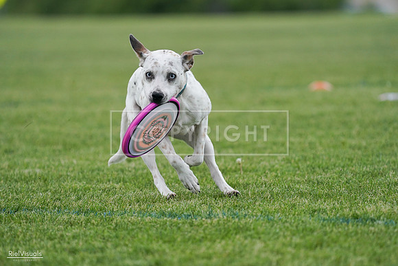 RielVisuals_20240525_135409_SJR09872
