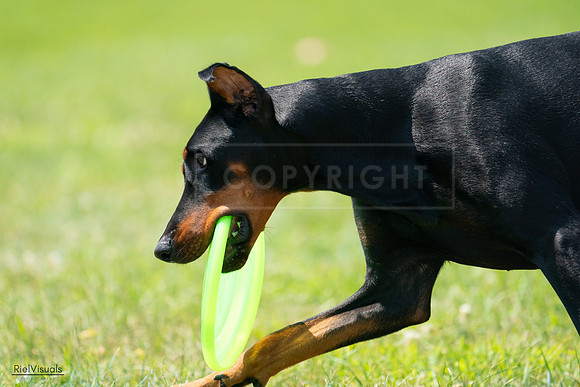 RielVisuals_20240728_122814_SJR03994