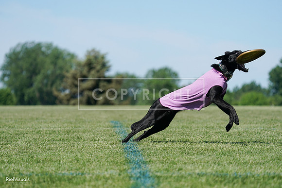 RielVisuals_20240525_104852_SJR05520