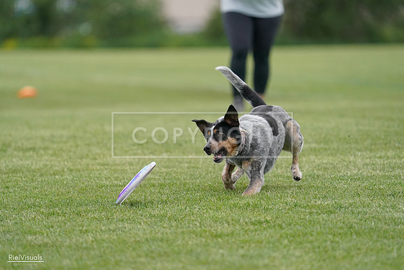 RielVisuals_20240525_164141_SJR05184