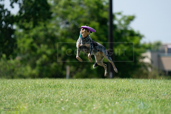 RielVisuals_20240728_145227_SJR09445
