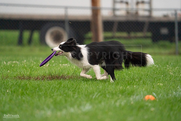 RielVisuals_20240722_194539_SJR02099