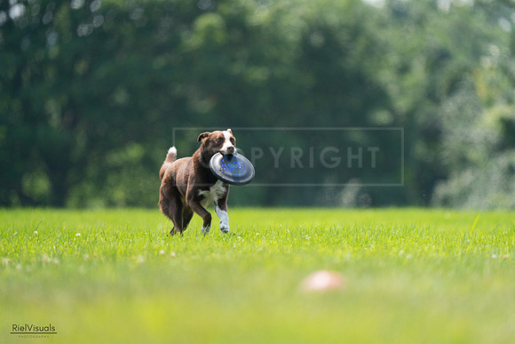 RielVisuals_20240727_131442_SJR07344