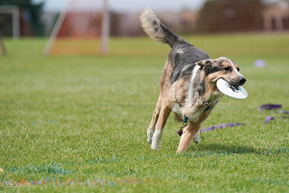 RielVisuals_20240527_141636_SJR02168