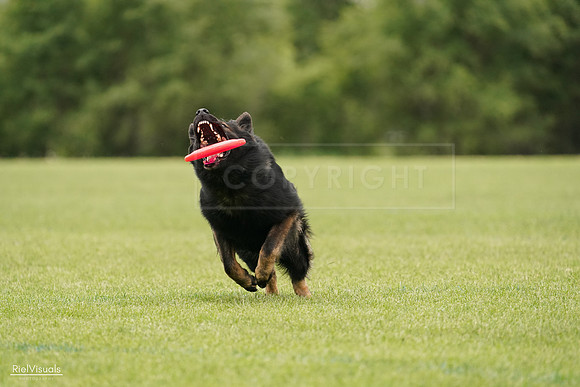 RielVisuals_20240527_132943_SJR00015