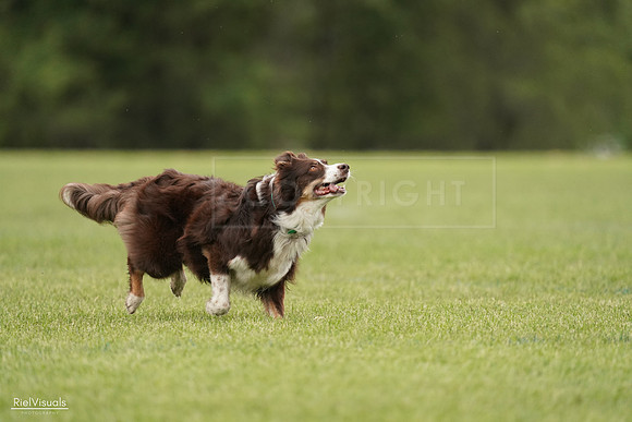 RielVisuals_20240527_132407_SJR09634