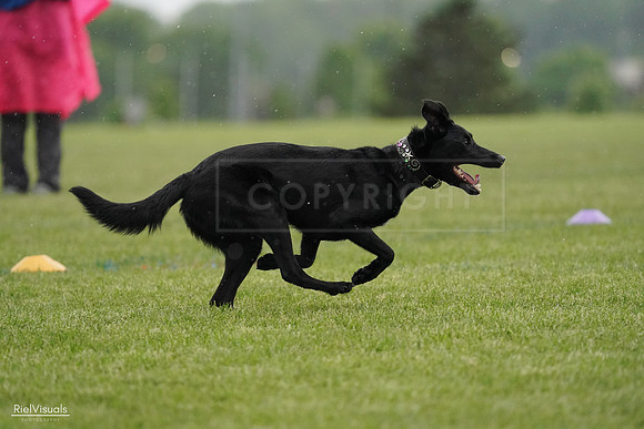 RielVisuals_20240526_092332_SJR09875