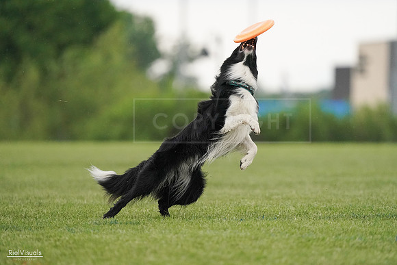 RielVisuals_20240526_095517_SJR01381
