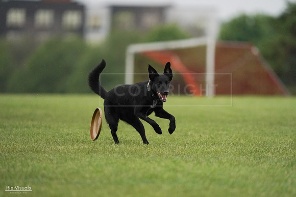 RielVisuals_20240527_093329_SJR07738