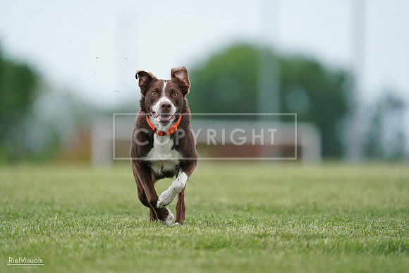 RielVisuals_20240525_162546_SJR04426