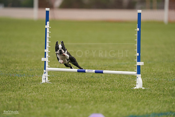 RielVisuals_20240527_142701_SJR02851