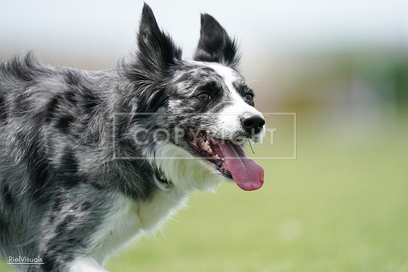 RielVisuals_20240525_124516_SJR01164