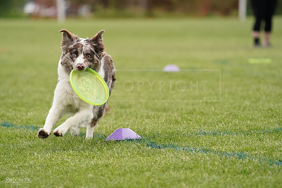 RielVisuals_20240526_132930_SJR07958