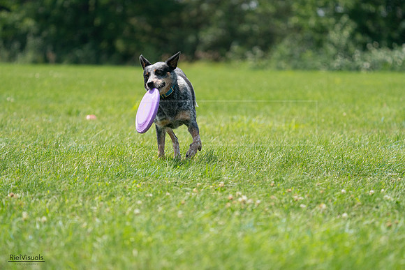 RielVisuals_20240728_134520_SJR07112