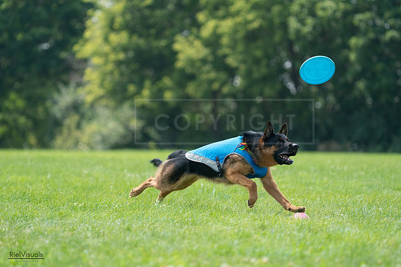 RielVisuals_20240728_135214_SJR07333