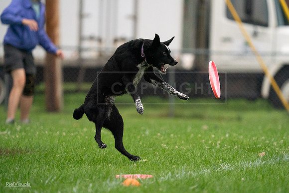 RielVisuals_20240722_193012_SJR01268