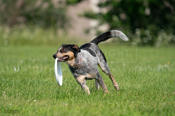 RielVisuals_20240728_103309_SJR08513
