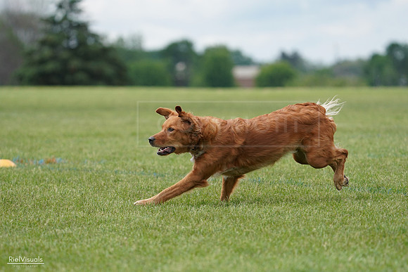RielVisuals_20240527_142205_SJR02532