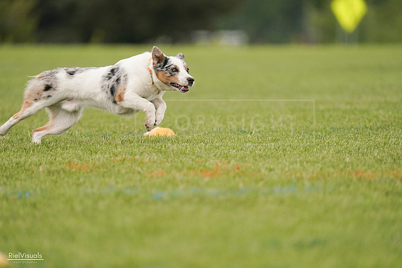 RielVisuals_20240527_140141_SJR01241