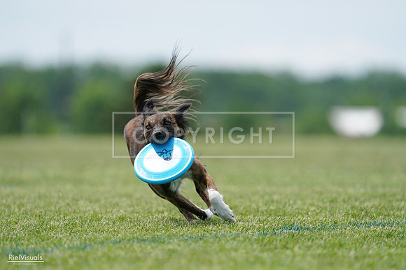 RielVisuals_20240525_124201_SJR00937