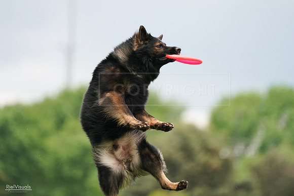 RielVisuals_20240527_133012_SJR00057