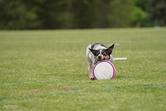RielVisuals_20240526_132212_SJR07600