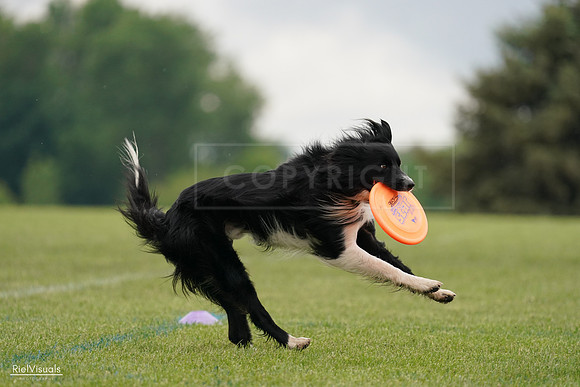 RielVisuals_20240527_131921_SJR09361
