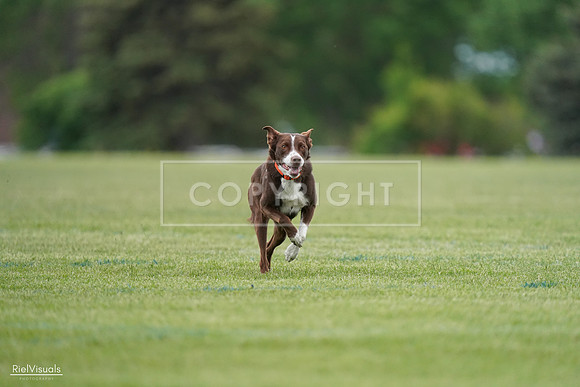 RielVisuals_20240525_162514_SJR04329