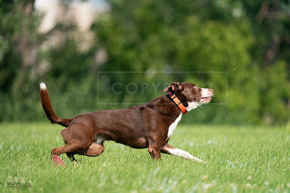 RielVisuals_20240727_100724_SJR08609