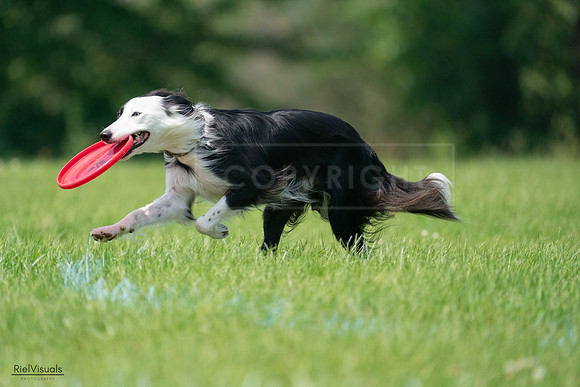 RielVisuals_20240727_124908_SJR06185