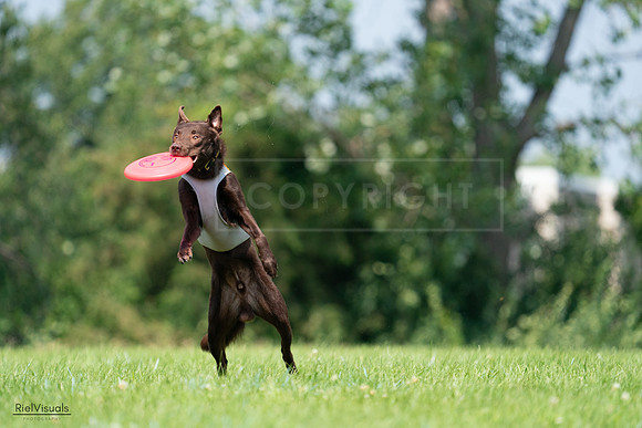 RielVisuals_20240727_114643_SJR03913