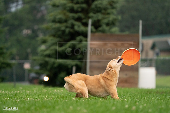 RielVisuals_20240722_191559_SJR00345