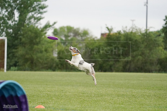 RielVisuals_20240526_092830_SJR00134
