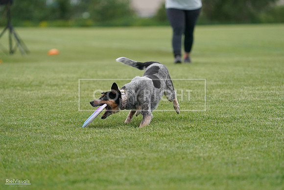 RielVisuals_20240525_164141_SJR05188