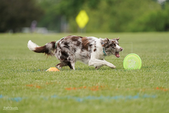 RielVisuals_20240526_110135_SJR00183