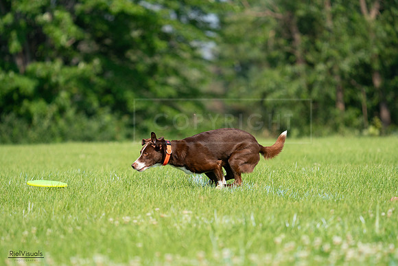 RielVisuals_20240727_093627_SJR06903