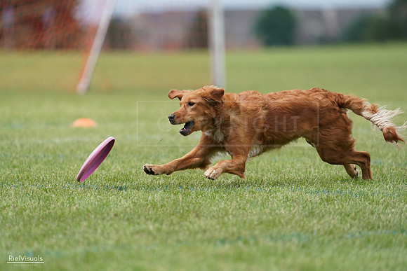 RielVisuals_20240527_142114_SJR02462