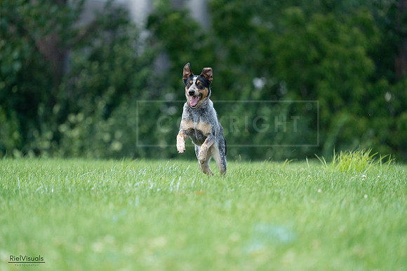 RielVisuals_20240727_133934_SJR07945