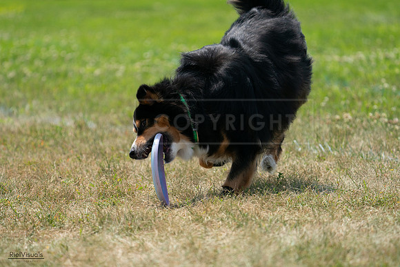 RielVisuals_20240728_131625_SJR05588
