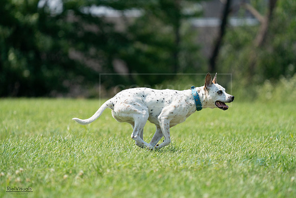 RielVisuals_20240728_144200_SJR08914