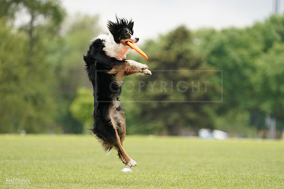 RielVisuals_20240527_132808_SJR09885